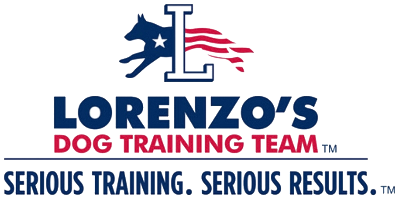 Lorenzo's Dog Training Team