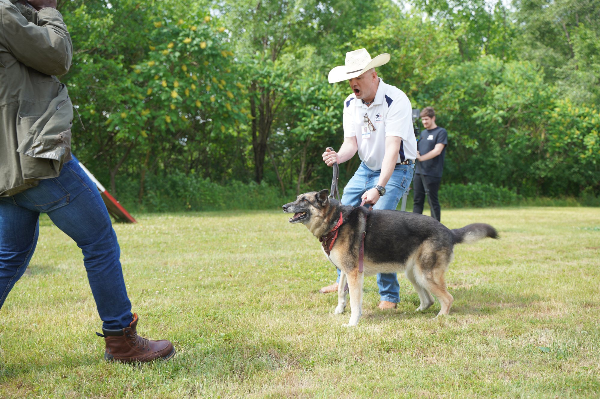 Real training, real San Antonio dogs