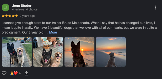Google review screenshot from Jenn Studer: Bruce Maldonado changed our lives