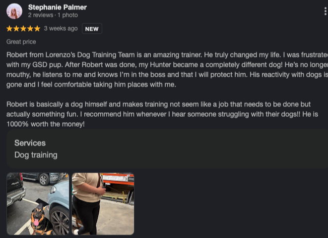 Google review screenshot from Stephanie Palmer: Robert changed our life