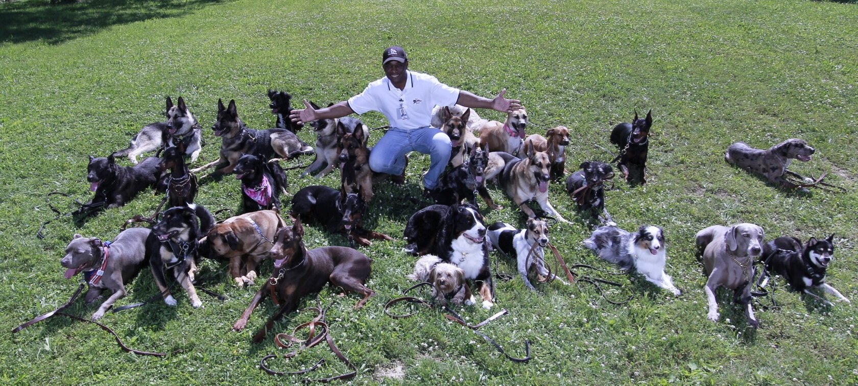 Lorenzo Miller trainer bio photo